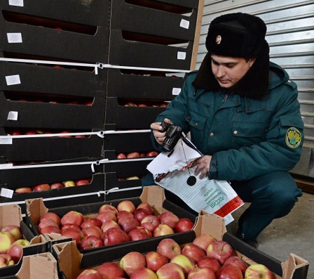 Белоруссия прекратила реэкспорт санкционных плодов и овощей в Россию