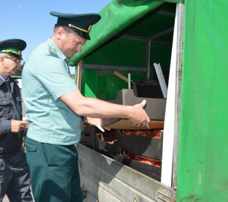 С начала 2019 года на территории Смоленской области выявлено более 5,3 тысячи тонн товаров, попадающих под ограничительные меры