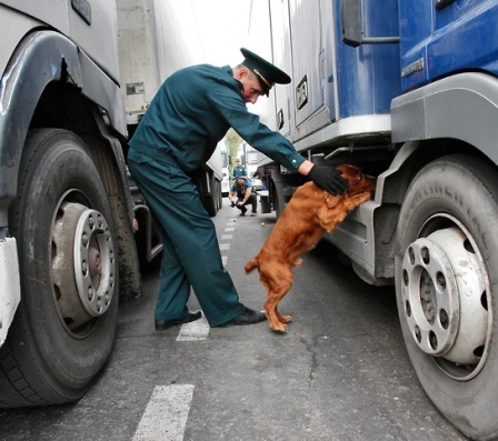 Doing Business внешней торговле не оценка